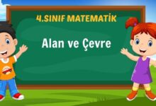 Alan ve Çevre