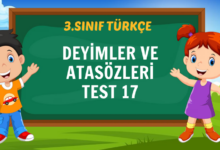 DEYİMLER VE ATASÖZLERİ TEST 17
