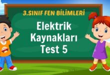 Elektrik Kaynakları Test 5