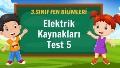 Elektrik Kaynakları Test 5