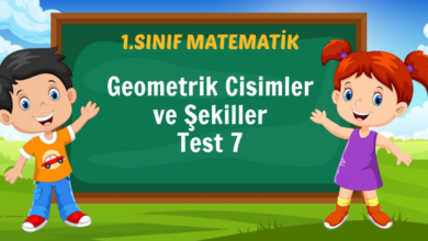 Geometrik Cisimler ve Şekiller