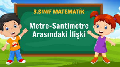 Metre Santimetre Arasındaki İlişki