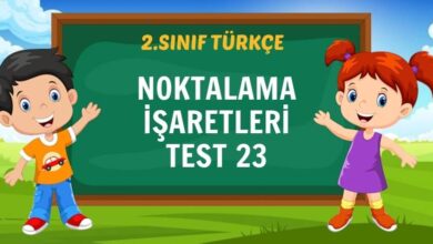 NOKTALAMA İŞARETLERİ TEST 22