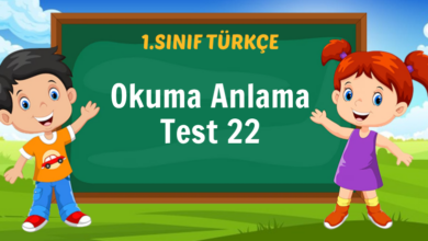 Okuma Anlama Test 22