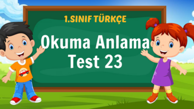 Okuma Anlama