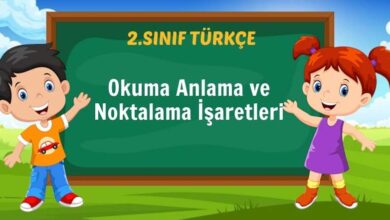 Okuma Anlama ve Noktalama İşaretleri