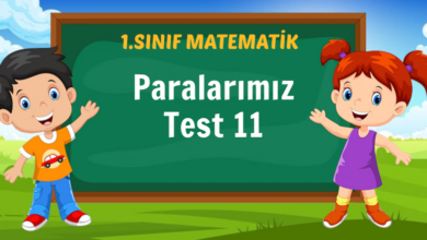 Paralarımız Test 11