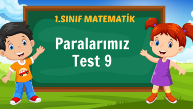 Paralarımız Test 9