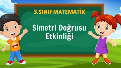 Simetri Doğrusu Etkinliği