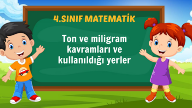 Ton ve miligram kavramları ve kullanıldığı yerler