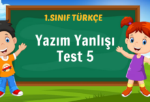 Yazım Yanlışı Test 5