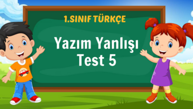 Yazım Yanlışı Test 5