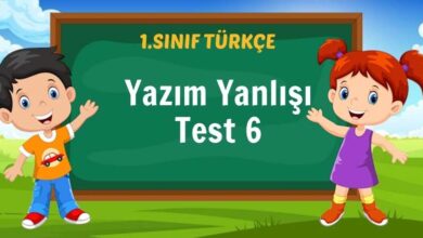 Yazım Yanlışı Test 6