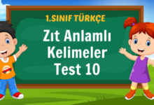 Zıt Anlamlı Kelimeler
