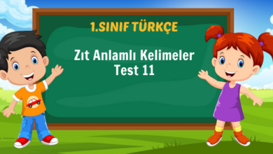 Zıt Anlamlı Kelimeler Test 11