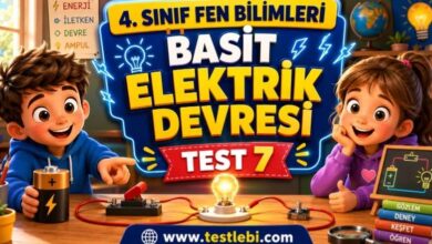 basit elektrik devresi testi