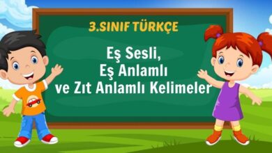 Eş Sesli, Eş Anlamlı ve Zıt Anlamlı Kelimeler