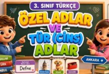 3. sınıf türkçe Özel adlar ve tür