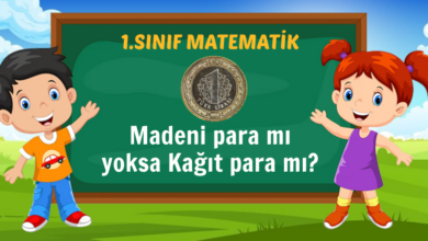 Madeni para mı yoksa Kağıt para mı?