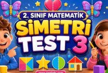 simetri testi