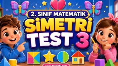 simetri testi