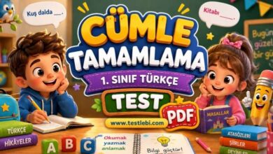 tamamlama