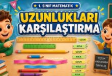uzunlukları karşılaştırma