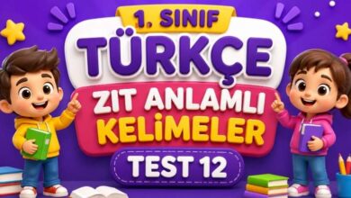 zıt anlamlı kelimeler testi