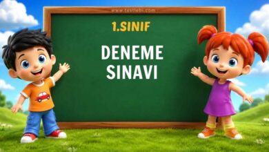 1. SINIF DENEME SINAVI