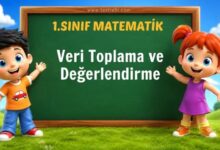 1. Sınıf Matematik Veri Toplama ve Değerlendirme