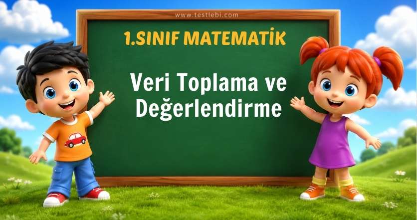 1. Sınıf Matematik Veri Toplama ve Değerlendirme