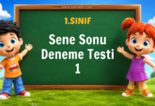 1. Sınıf Sene Sonu Deneme Testi
