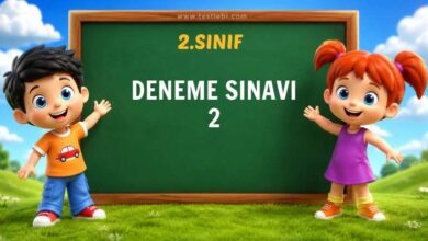 2. sınıf denemeb