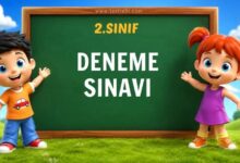 2. sınıf deneme