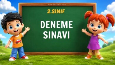 2. sınıf deneme