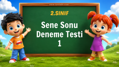 2. sınıf sene sonu denem testi 1