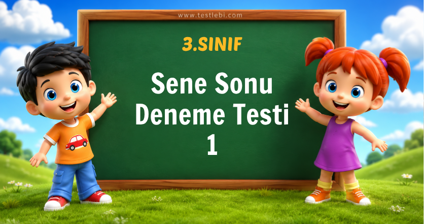 3. sınıf sene sonu