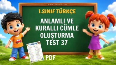ANLAMLI VE KURALLI CÜMLE OLUŞTURMA TEST 37