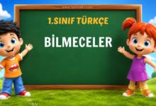 BİLMECELER