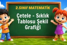 Çetele - Sıklık Tablosu Şekil Grafiği