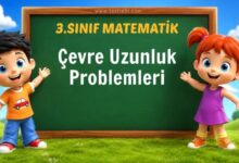 Çevre Uzunluk Problemleri