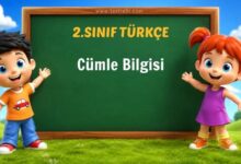 Cümle Bilgisi