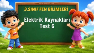 Elektrik Kaynakları Test 6