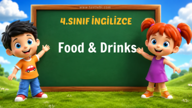 Food & Drinks