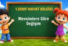 Mevsimlere Göre Değişim
