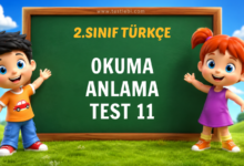 OKUMA ANLAMA TEST 11
