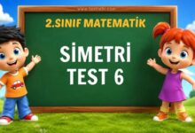 SİMETRİ TEST 6