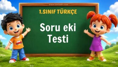 Soru eki Testi