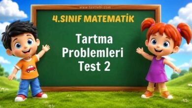 Tartma Problemleri