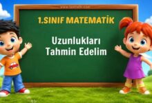 Uzunlukları Tahmin Edeli